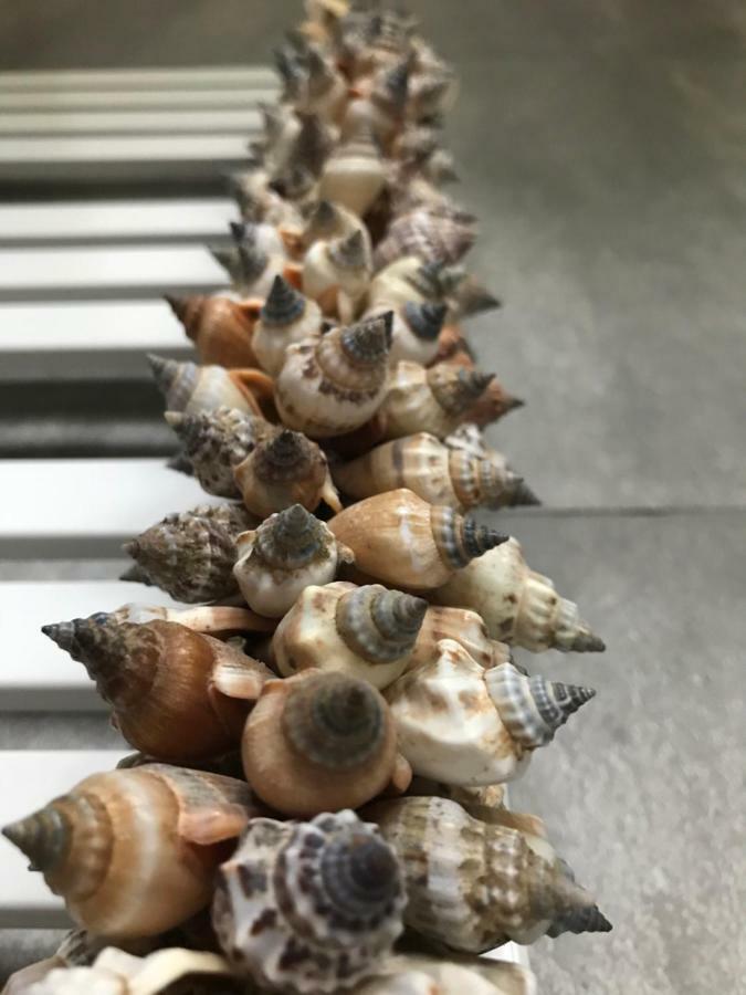 Baltic Melody Apartament פוביירובו מראה חיצוני תמונה